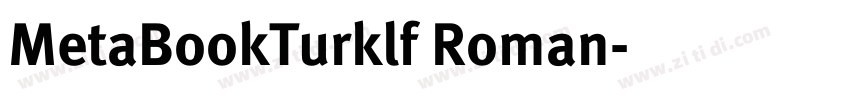 MetaBookTurklf Roman字体转换